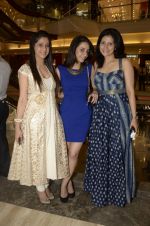 at the launch of Anita Dongre_s latest menswear collection in Palladium, Mumbai on 11th Dec 2012 (19).JPG